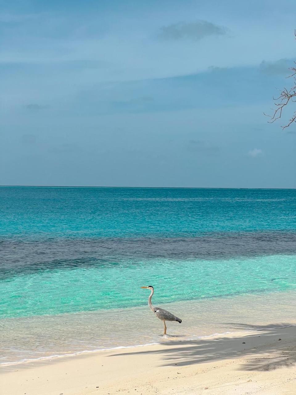 Infinite Lagoon Mandhoo Luaran gambar
