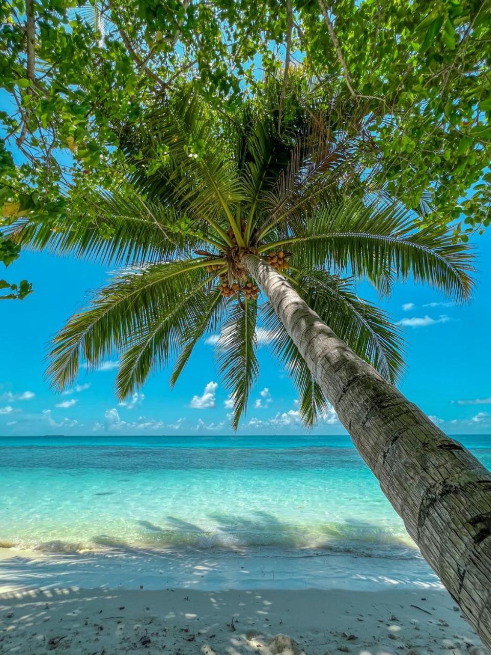 Infinite Lagoon Mandhoo Luaran gambar